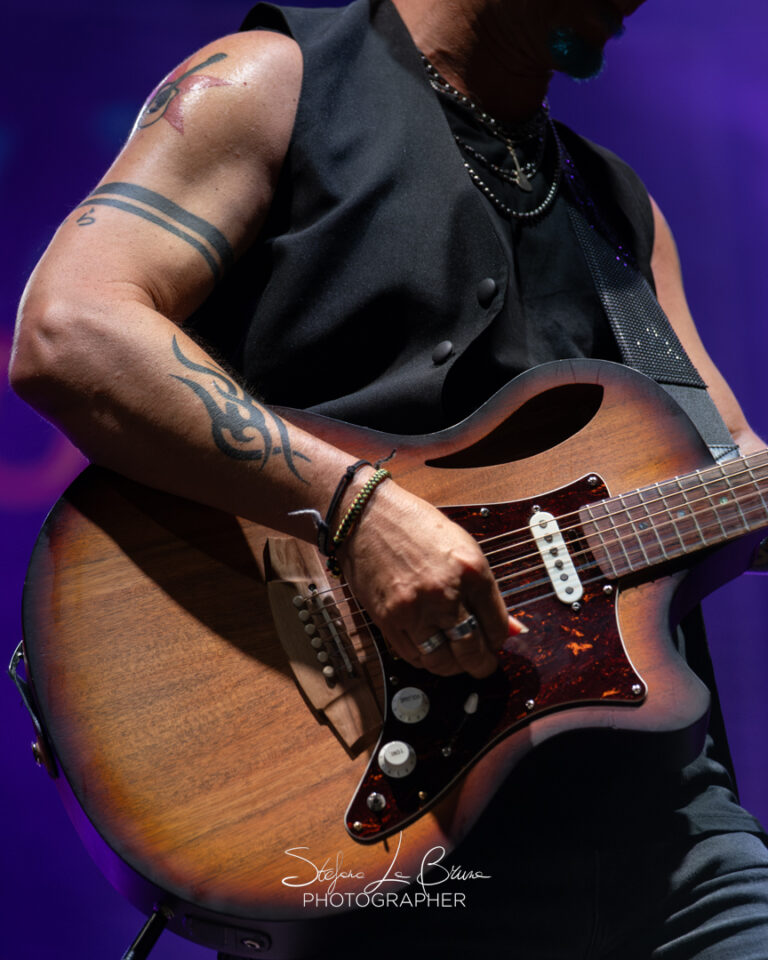 BANDABARDO’ E I PATAGARRI AL FLOWERS FESTIVAL DI COLLEGNO